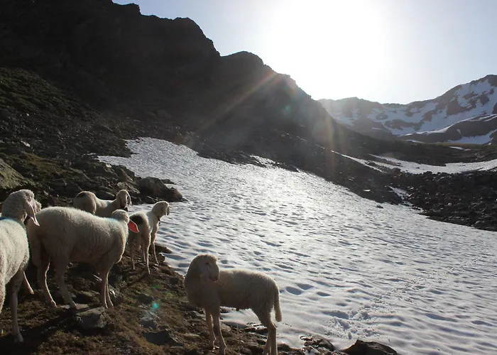 Alpina Huben Apartman *