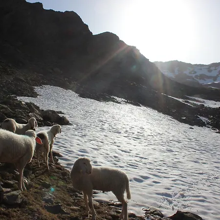 Alpina Huben Daire *